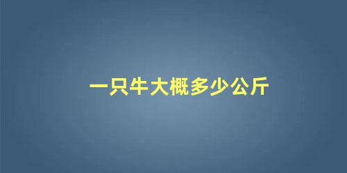 一只牛大概多少公斤