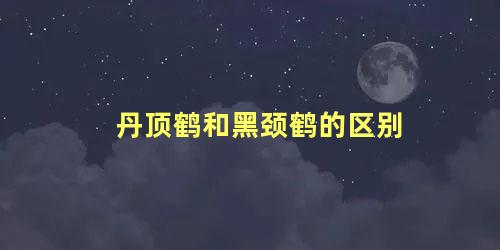 丹顶鹤和黑颈鹤的区别