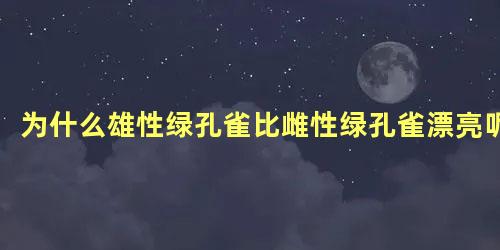 为什么雄性绿孔雀比雌性绿孔雀漂亮呢