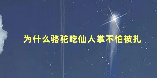 为什么骆驼吃仙人掌不怕被扎