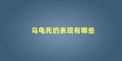 乌龟死的表现有哪些