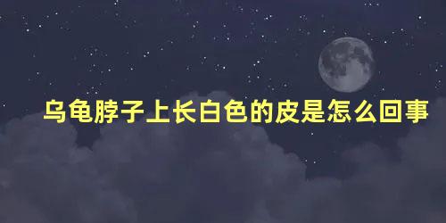 乌龟脖子上长白色的皮是怎么回事