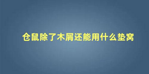 仓鼠除了木屑还能用什么垫窝