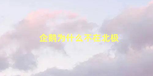 企鹅为什么不在北极