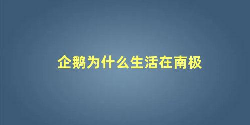 企鹅为什么生活在南极