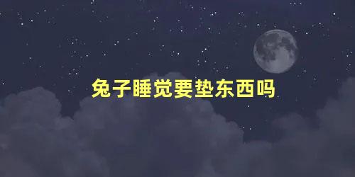 兔子睡觉要垫东西吗