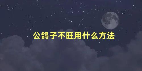 公鸽子不旺用什么方法