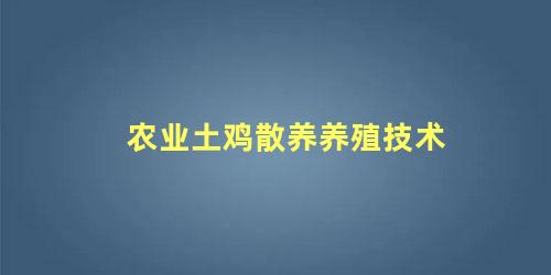 农业土鸡散养养殖技术