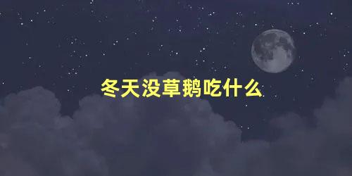 冬天没草鹅吃什么