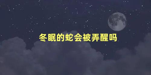 冬眠的蛇会被弄醒吗