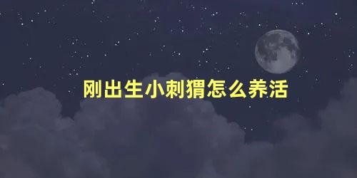 刚出生小刺猬怎么养活