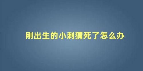 刚出生的小刺猬死了怎么办