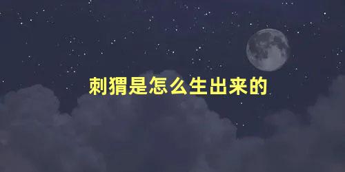 刺猬是怎么生出来的