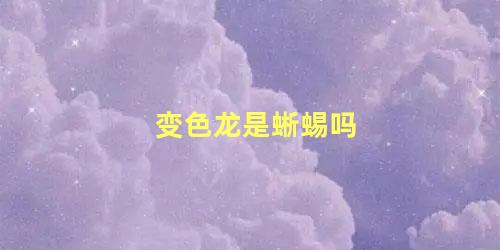 变色龙是蜥蜴吗