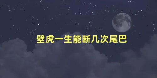 壁虎一生能断几次尾巴