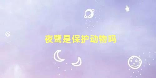 夜鹭是保护动物吗