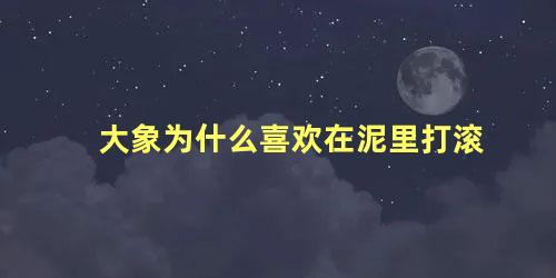 大象为什么喜欢在泥里打滚