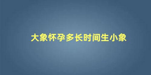 大象怀孕多长时间生小象