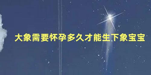 大象需要怀孕多久才能生下象宝宝