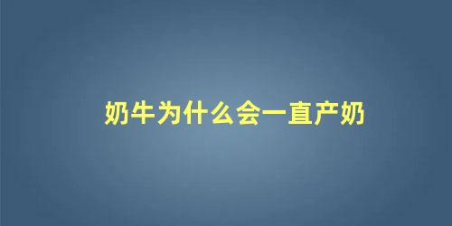 奶牛为什么会一直产奶