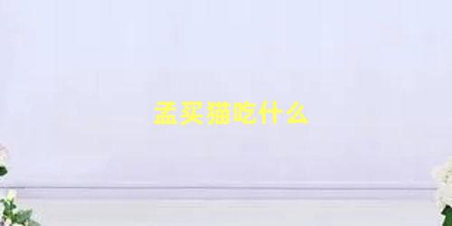 孟买猫吃什么