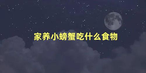 家养小螃蟹吃什么食物