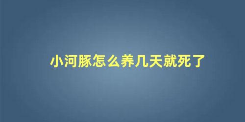 小河豚怎么养几天就死了