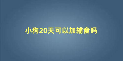 小狗20天可以加辅食吗