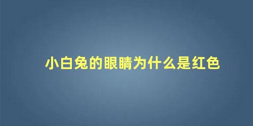 小白兔的眼睛为什么是红色