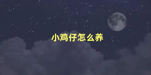 小鸡仔怎么养