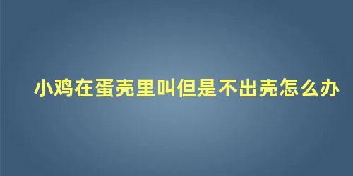 小鸡在蛋壳里叫但是不出壳怎么办