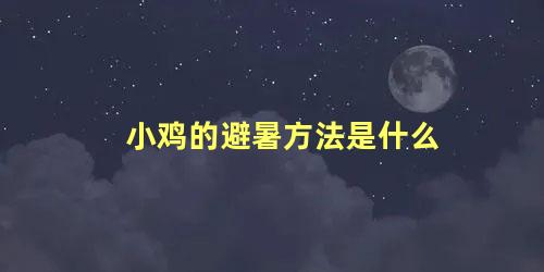 小鸡的避暑方法是什么