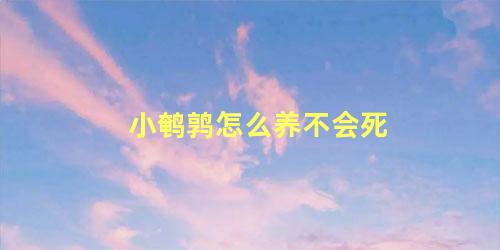 小鹌鹑怎么养不会死