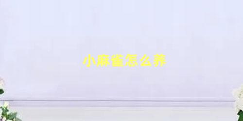 小麻雀怎么养