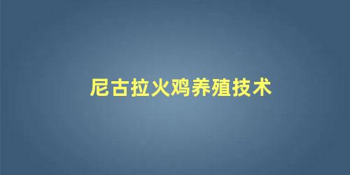 尼古拉火鸡养殖技术