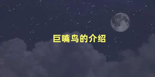 巨嘴鸟的介绍