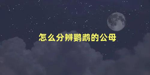 怎么分辨鹦鹉的公母