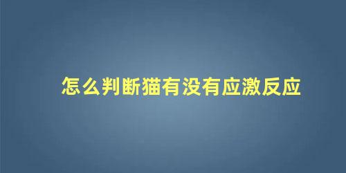 怎么判断猫有没有应激反应