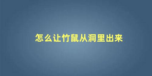 怎么让竹鼠从洞里出来