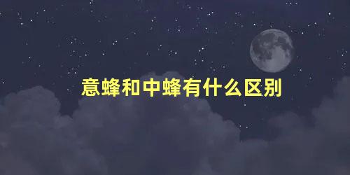 意蜂和中蜂有什么区别