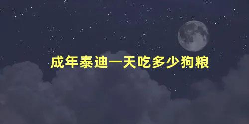 成年泰迪一天吃多少狗粮