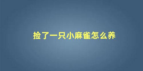 捡了一只小麻雀怎么养