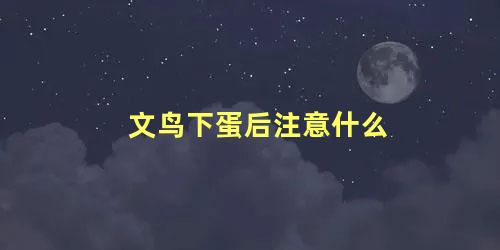 文鸟下蛋后注意什么