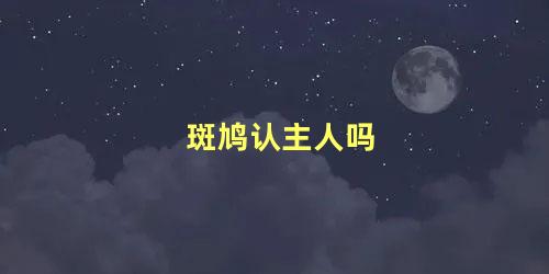 斑鸠认主人吗