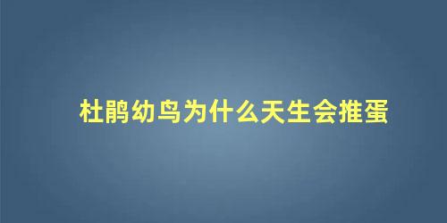 杜鹃幼鸟为什么天生会推蛋