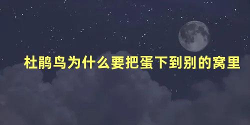 杜鹃鸟为什么要把蛋下到别的窝里