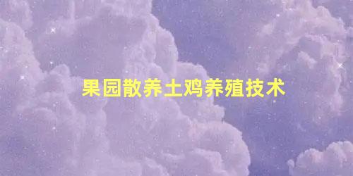 果园散养土鸡养殖技术