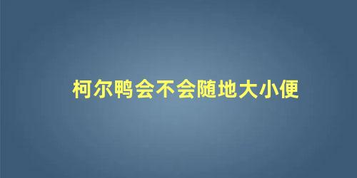 柯尔鸭会不会随地大小便