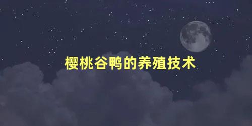 樱桃谷鸭的养殖技术