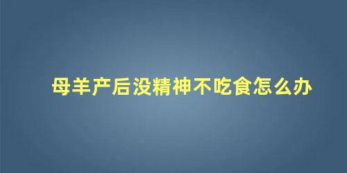 母羊产后没精神不吃食怎么办